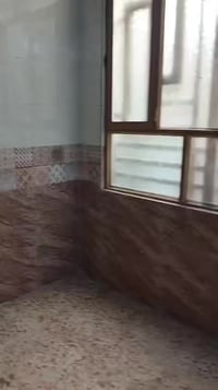 بيت للإيجار • حي ميثم التمار • ٥٠م