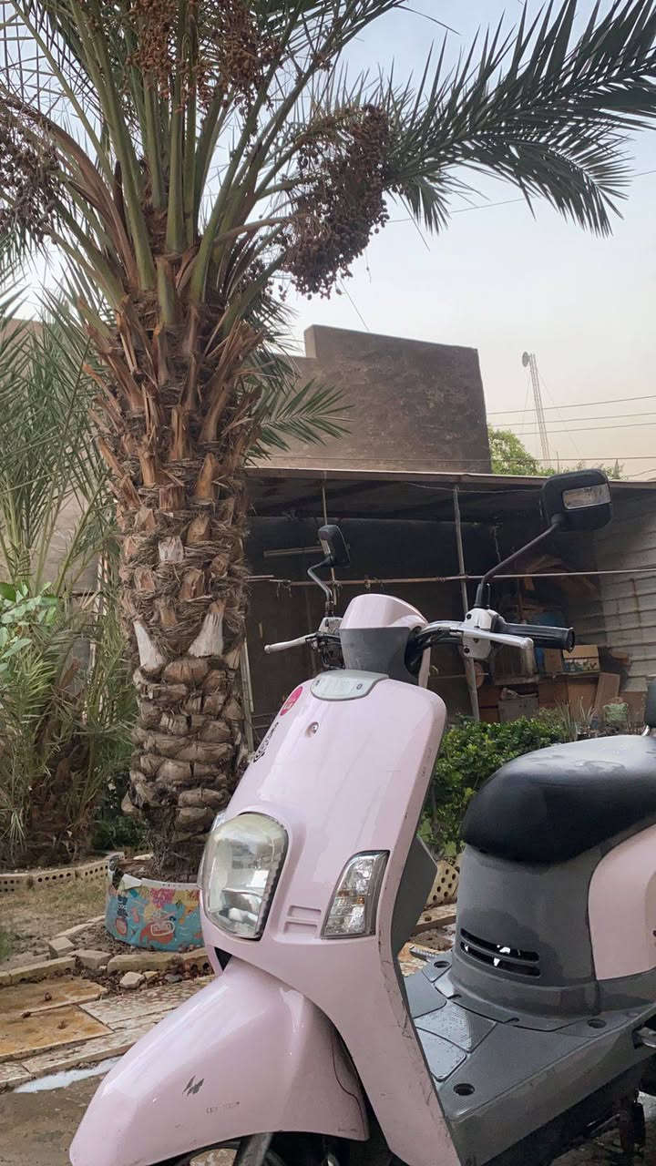 سلام عليكم  دراجه ماكس بوليس نوزل  
مكفوله كفاله عامه  اي نقص مابيها دراجه مال رمبه نضيفه كلشي شغال بيه 
السعر ٩٥٠ وبيه مجال المو شراي لا يطبلي 
مكاني دوره ابو دشير ‏‪***********‬‏
