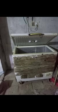 مجمدة • نجف رضوية • واتساب متاح