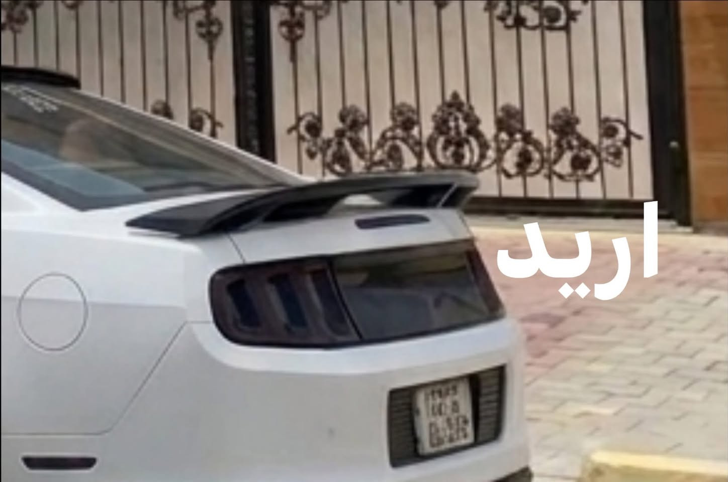 السلام عليكم شباب
عندي سبويلر شيلبي 14
رايد مال cs 
اسود مراوس


**إذا كنت صاحب هذا الإعلان وتريد حذفه لأي سبب، رجاءا أرسل رسالة إلى الدعم الفني**