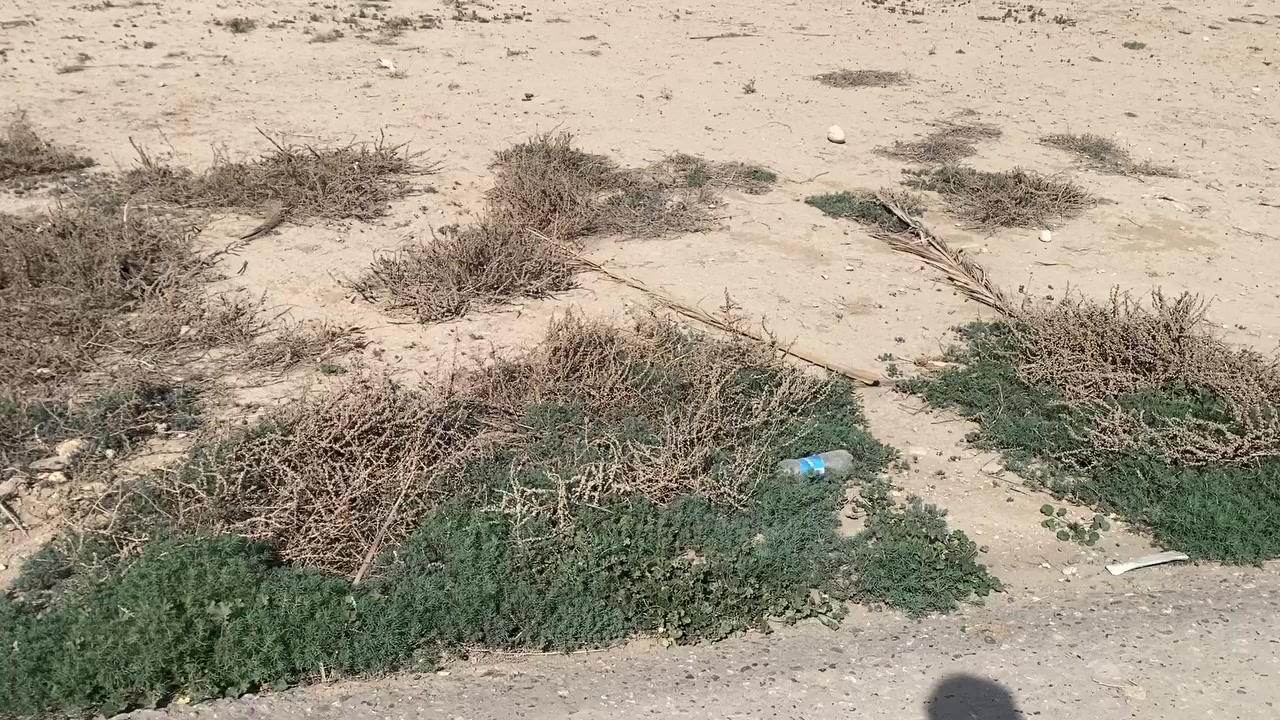 السلام عليكم ورحمه الله وبركاته
بسم الله الرحمن الرحيم 
توجد الدينا قطعه ارض البيع
بمساحه273متر 
طابو زراعي سند 25
تحويل مباشر باسم المشتري
من 💦 ماء ⚡️ كهرباء وشارع وعلى التبليط مباشر 
الموقع المدحتيه ارض الزكندري
اللاستفسار الاتصال على 
الارقام التأليه 
*********** اتصال
*********** واتساب
