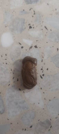 للبيع • تفاصيل ناقصة