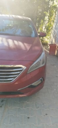 نص فول • مكينة سليمة • النجف