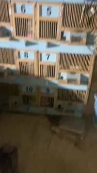 متاح للبيع يحتاج شوي ترتيب الباب جان قلا وسويتهن فتح وشد كلهن جرار كاع...