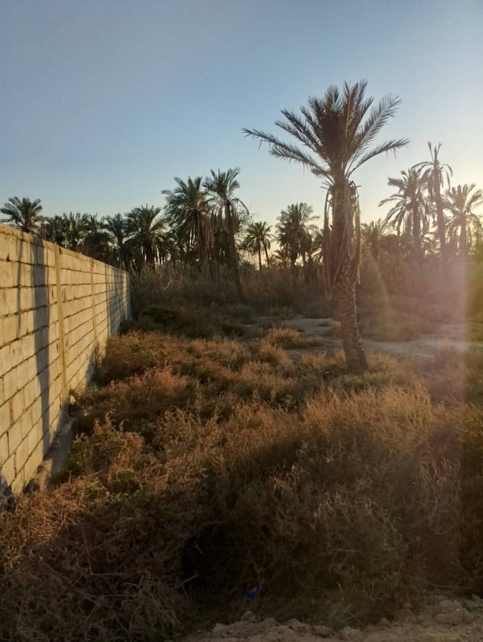 السلام عليكم يتوفر قطعه للبيع مساحه 560متر طابو زراعي يدخل اسمك سهم بلطابو واجه 20متر كل الخدمات متوفره العنوان ابو الخصيب نهر خوز تبعد عن شارع السايدين 600متر سعر 150مليون وبي مجال ***********
