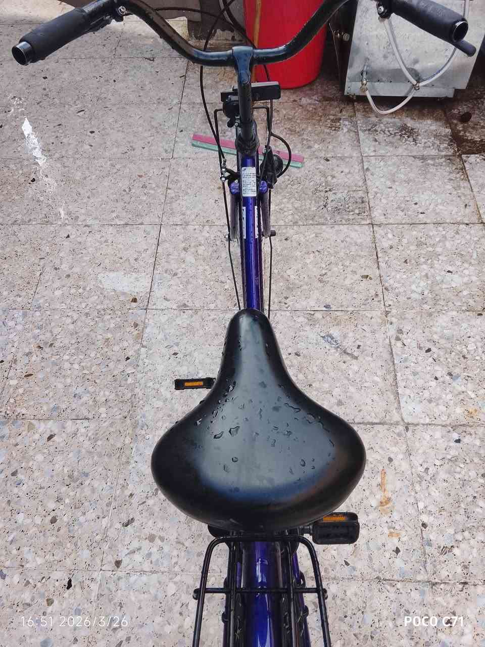 بايسكل بناتي للبيع شركه كلوف 
مديل2022
بيسكل صارلي سبوع خذيته ورد ابيعه حتاجيت بيسكل رمبه نزلته ب140قفله ب110 عنوان بغداد شارع فلصطين


**إذا كنت صاحب هذا الإعلان وتريد حذفه لأي سبب، رجاءا أرسل رسالة إلى الدعم الفني**