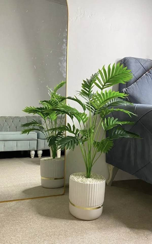 اشجار السايكس يتوفر خدمه توصيل 🚚


**إذا كنت صاحب هذا الإعلان وتريد حذفه لأي سبب، رجاءا أرسل رسالة إلى الدعم الفني**