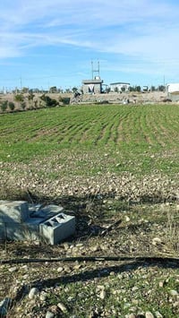 قەزای ڕزگاری • ١ دونم • طابو شيخية