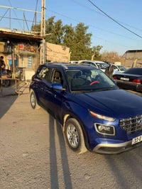 ڤينو • ٢٠٢٤ • ضرر