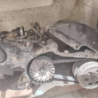 ثعلب • كابريتر تجاري • شوتة