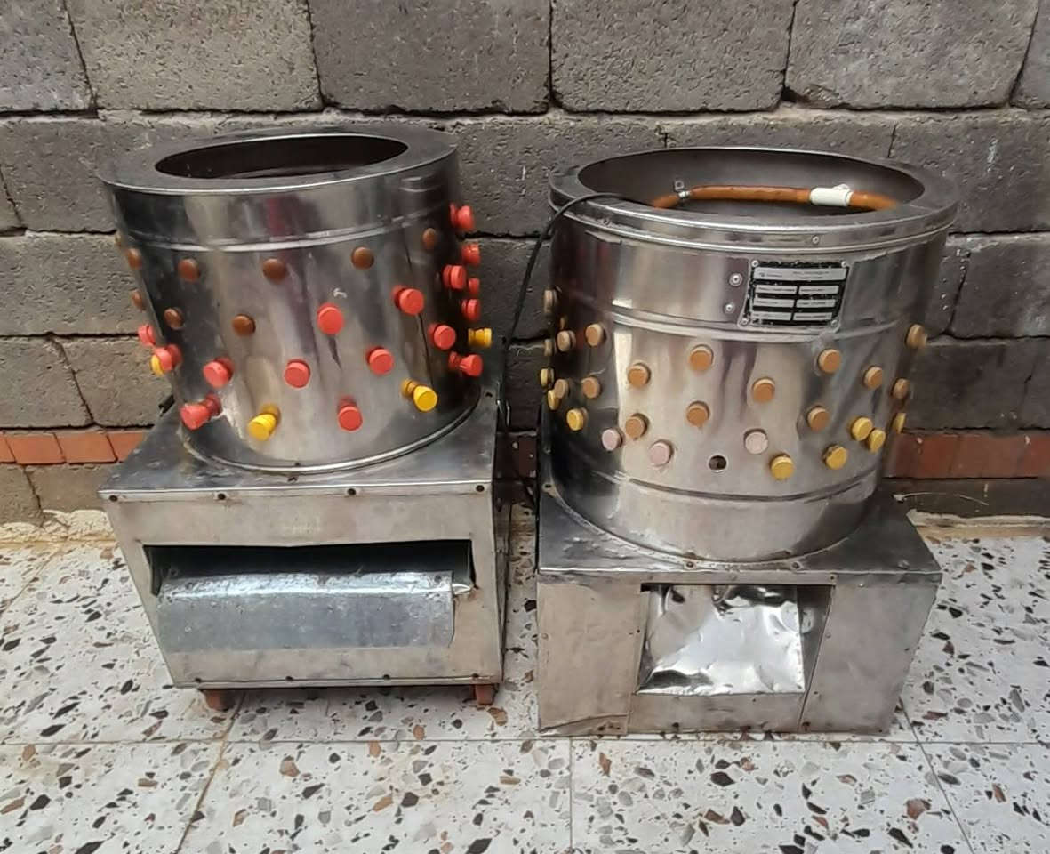 هلاسات للبيع ***********
