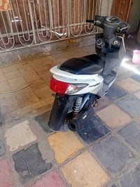سكنس • ياباني • ابيض