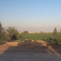 أرض • ٤٫٥ دونم • فيديو