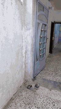 قصر الكاظمية للعقار دار للأيجار بالحرية دور نواب الضباط شارع زين العاب...