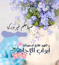 قطعه ارض للبيع مساحه 150م الموقع  كربلاء شارع ميثم تمار عكد بغداد مجاو...