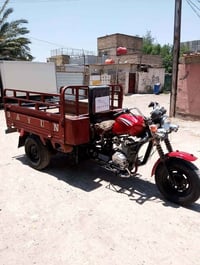 ستوته • داينو • شغاله