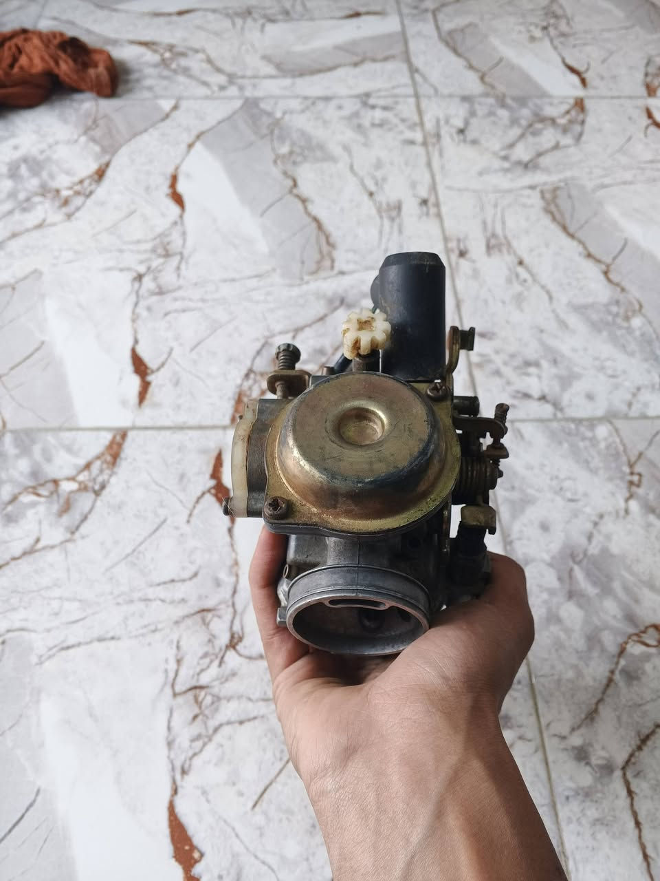 السلام عليكم كابريتر مال فراشه جديده عالفحص للبيع سعر 20 مكان الديوانيه قضاء الشاميه شرايه راسلني لو ينتصل ***********
