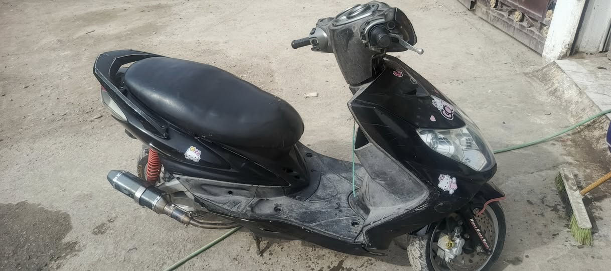 السلام عليكم
سكنس فحل للبيع سعر 550
مكان بغداد البلديات انتصال***********
