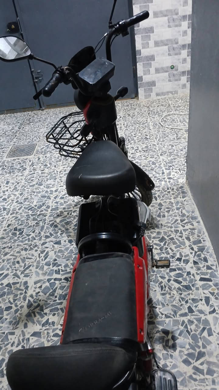 السلام عليكم عندي بيسكل شحن حجم ٢٠ ٤بطريات بيسكل نضيف اليحب يستفسر يجي خاص ولموشراي لارسل رجاء


**إذا كنت صاحب هذا الإعلان وتريد حذفه لأي سبب، رجاءا أرسل رسالة إلى الدعم الفني**