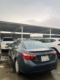 كورولا • ٢٠١٩ • اربيل