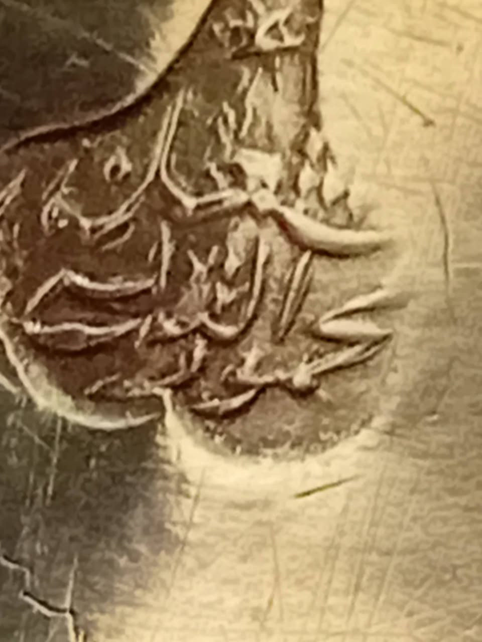 دله قديمه قرشيه خاليه من العيوب ارتفاع٣٠سم صنع مشغل محمودالتونسي
٠٧٩٥٢٦٩٧٤٠


**إذا كنت صاحب هذا الإعلان وتريد حذفه لأي سبب، رجاءا أرسل رسالة إلى الدعم الفني**