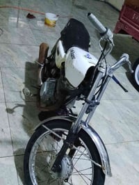 ١٥٠ • شغاله • صوت بالدشلي