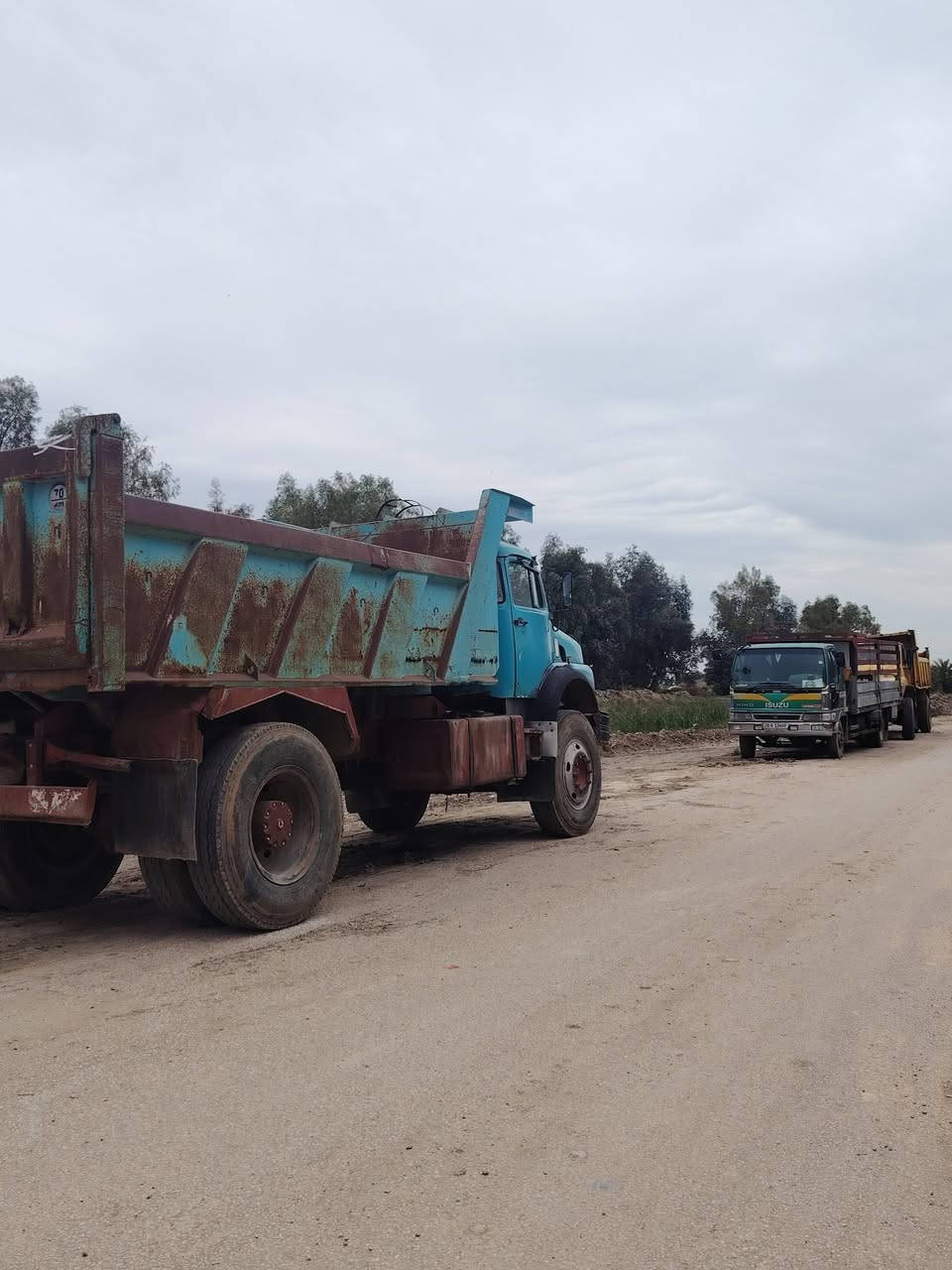 سلام عليكم قجم للبيع ٨٠ بلادي ***********
