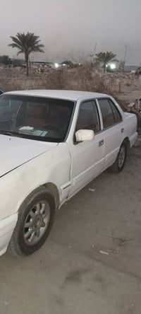 بونتيشيا • مكانه كربلاء • رقم كربلاء
