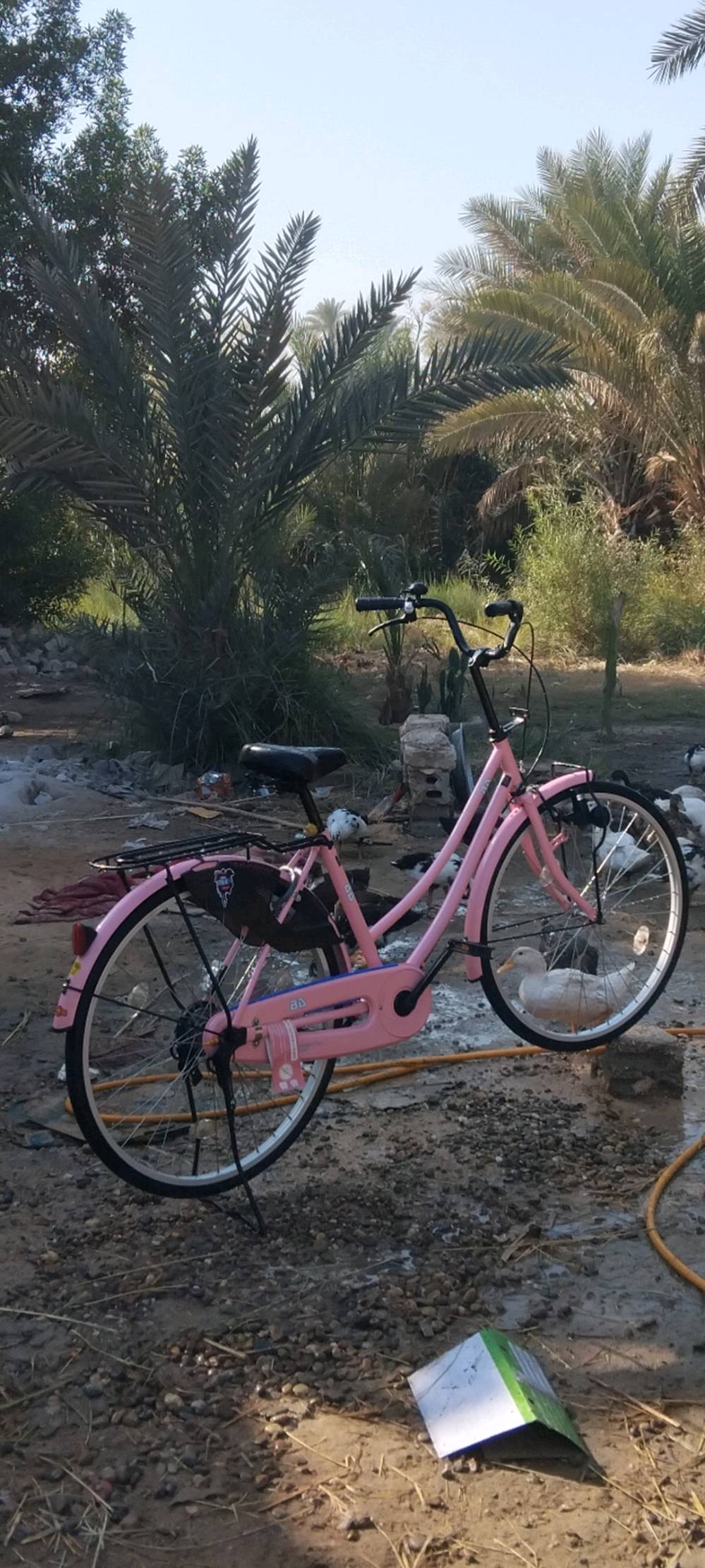 باسكل للبيع نضيف نضافه فول ويا غراض هواي مكاني نجف ابوصخير 