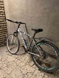 باسكل جبلي • ياباني • حجم ٢٦