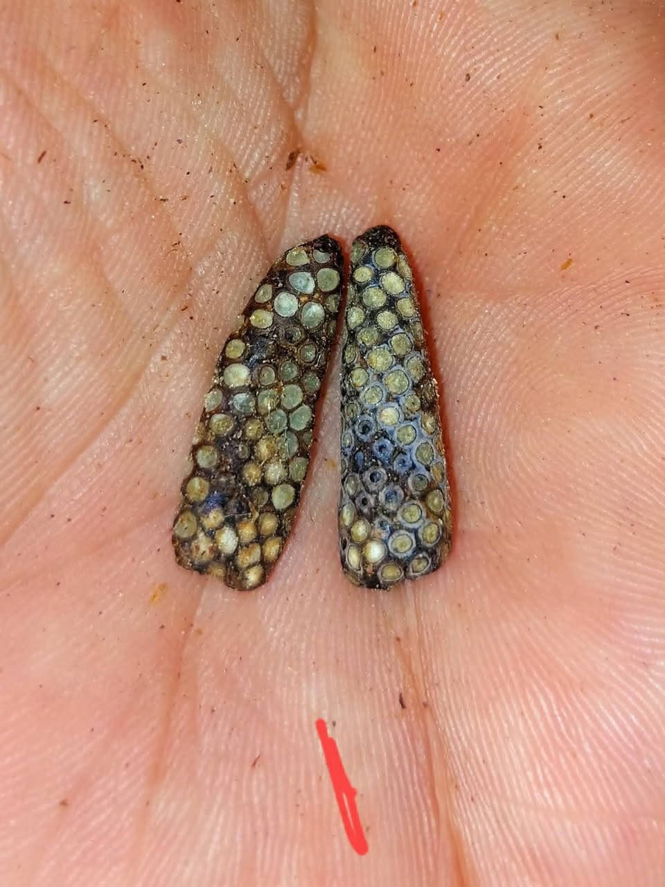 #يا #الله
#ماتوفيقي #الابالله.   عرض خاص في شهر رمضان الخير  خصم 30 بل100 وخادم الكم بس في شهر رمضان 🌸🌺👉  120 الف مع الختم والتوكيل   ✌️👉   عرج سويحل نباتي طبيعي 100بل 100  افريقي بي ريحه شلون  المسك الطبيهي مروحن وجاهز حسب القواعد الروحانيه الخاصه بيهن بيع منه ويعرفون الي ماخذين مني شنو من طاقه وروحانيه يباع ثنين خوات

#جزء #من #فوائد #الروحيه  👇👇👇👇👇👇👑👉

1 #محبه وقبول وتسهيلات عامه     شغل عام عام ومال زماط

2 عقد السان لجم وقبل 

3 راحه نفسيه 

4 جاه وجه والهيبه ودخول على السلاطين وتغلب على الأعداء بصوره عامه 

5 تسهيل امور بالبيع والشراء والتجاره  شغل جوكر 🃏 عام  مفتوح ومشروط يباع طبيعي مع الختم والتوكيل مع طلسم خاصه بي ينختم  ويه علبه نحاس هديه


**إذا كنت صاحب هذا الإعلان وتريد حذفه لأي سبب، رجاءا أرسل رسالة إلى الدعم الفني**