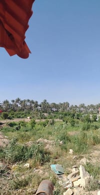 دونم للبيع الوجه 20متر و النزال 120 شاطيه الزعفرنيه شارع الزوراء السعر...