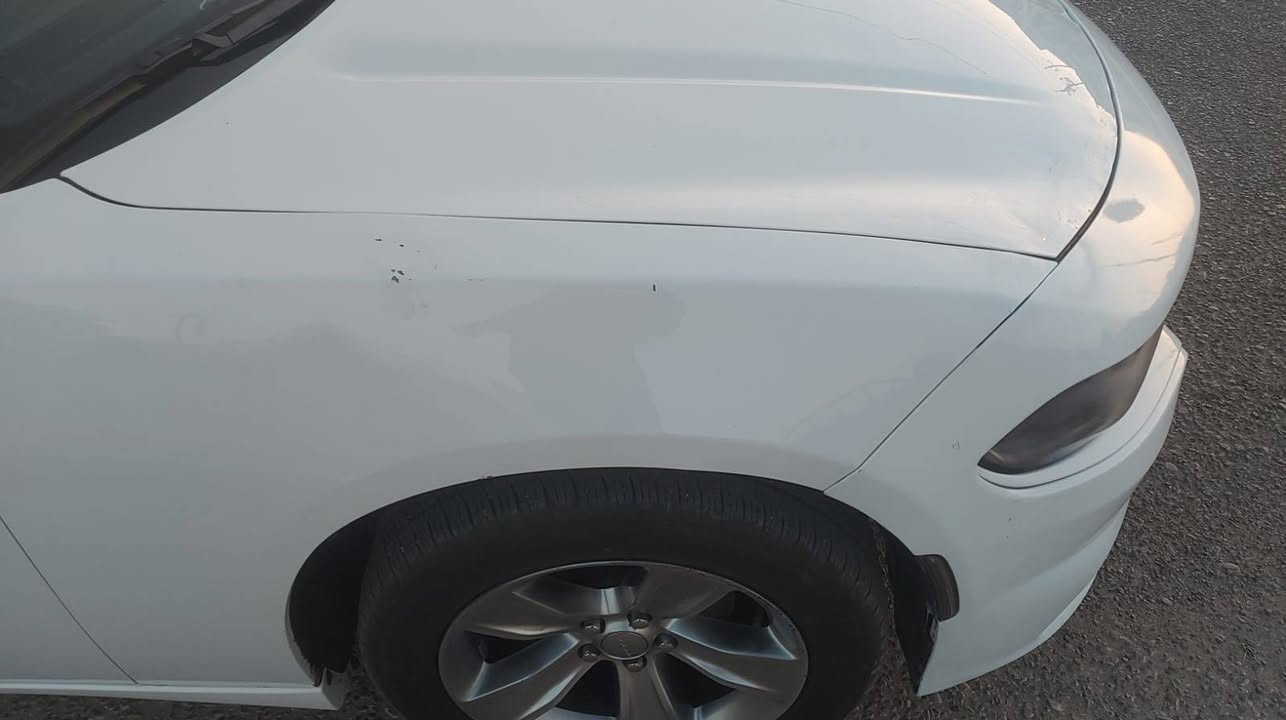 وين اليدور جديد كارتون
دوج چارچر وراد امريكي جاملغ امامي ايمن فقط باقي كفاله حته من زلغ  
فئة sxT بلاص 
لون ابيض لامع ستخدام شخصي فقط
  رقم بغداد انكليزي بسمنه سياره اصل15 مرمزه 17 مداور ثاني يوم 
بصمات ابواب 2
بصمة تشغيل عن بعد
محرك 3600 مرغوب شرط تشلع الكاع ترايه 

شاشة كبيرة كار بلي
قطعتين تبريد
كشنات جلد الحضن  كهربائي
تدفئه استيرن +تبريد ثلج 🥶+تدفئة بالكشن
  +كامرة خلفيه دوارة
مكينة +كير +اكسل كفاله عامة +تحكمات استيرن شفتات
حداديه خلفيه قبل اسبوع سويتها كامله مع الدبلات
ادامه كامله للمحرك
سياره كارتون  حداديه 90٪  
السعر 140 بيه مجال للشراي 

 *********** بيع فقط بدون مراوس 
العنوان(ميسان العماره) اتصال📞 أو؟ واتساب موجود خاص ماجاوب
