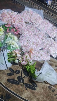 المجموعة كاملة