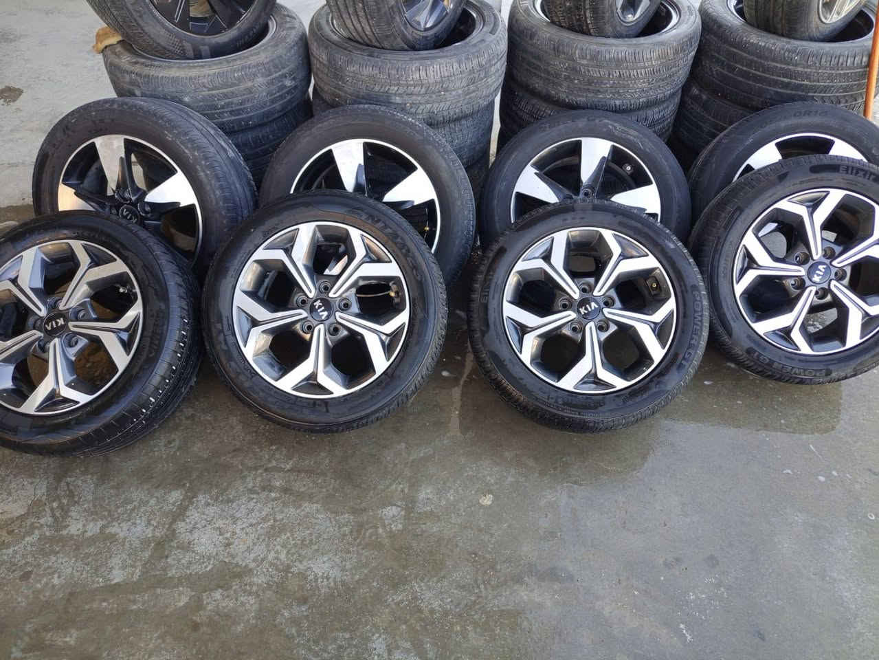 تخم ويل كب فورتي سيراتو اصلي شركة حجم 16 اصلي شركة العنوان بغداد الشعلة ***********
***********
