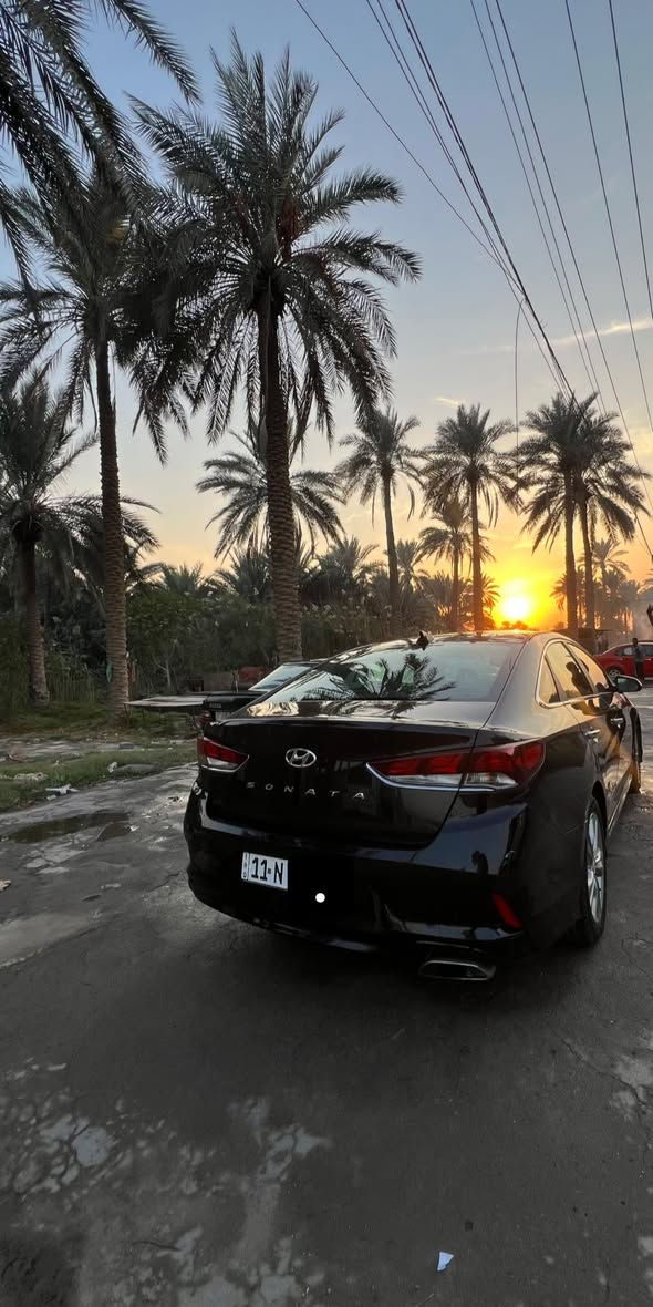 سوناتا 2018
وارد أمريكي حادث خفيف كما موضح بالصور وبيها  سونار شامل سياره جديده 

المواصفات فول عدا الفتحه

بصمه تشغيل أبواب صندوق 

كشن كهربائي تحكمات ستيرن 

رادارات جانبيه خلفيه شاشه كبيره كامره دواره 

3 أنظمه للقياده صندوق ذكي نظام ترحيب 

تتفئه كشنات هيتر يدات نيكل 

مكاني بابل 

السعر. 140$

الاستفسار / ***********
