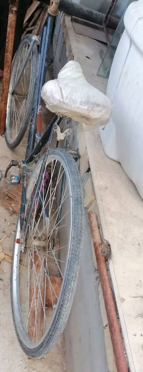 السلام عليكم شباب متاح بايسكل حجم 27 مدري 26 ممتاكد منه


**إذا كنت صاحب هذا الإعلان وتريد حذفه لأي سبب، رجاءا أرسل رسالة إلى الدعم الفني**