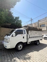 فحل م١٢ • مكينة ٤٠٠٠ • مشيه ١٦٦