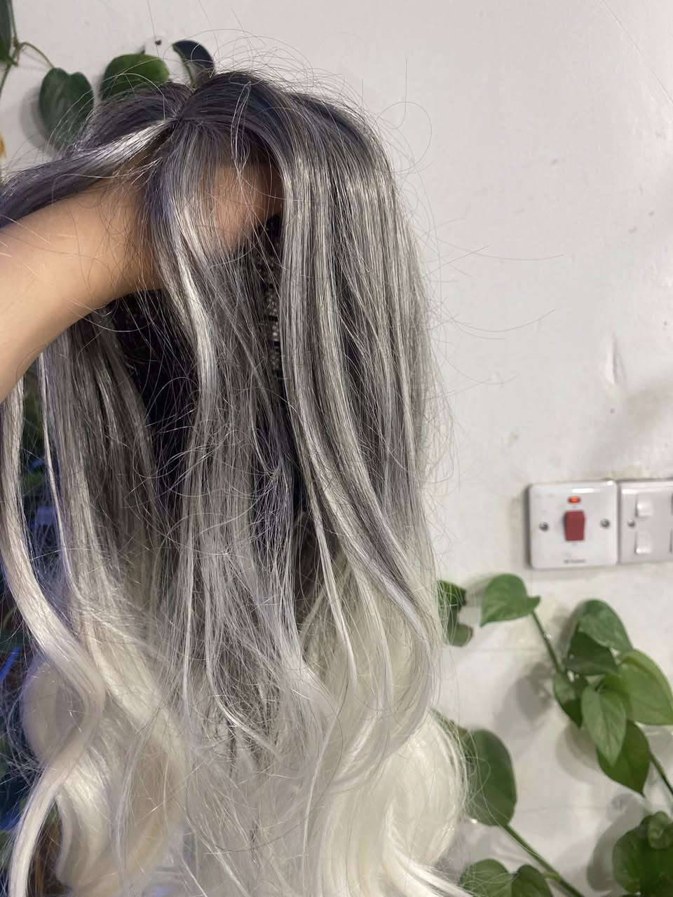 باروكه ثلجي السعر 10🤍🐆


**إذا كنت صاحب هذا الإعلان وتريد حذفه لأي سبب، رجاءا أرسل رسالة إلى الدعم الفني**