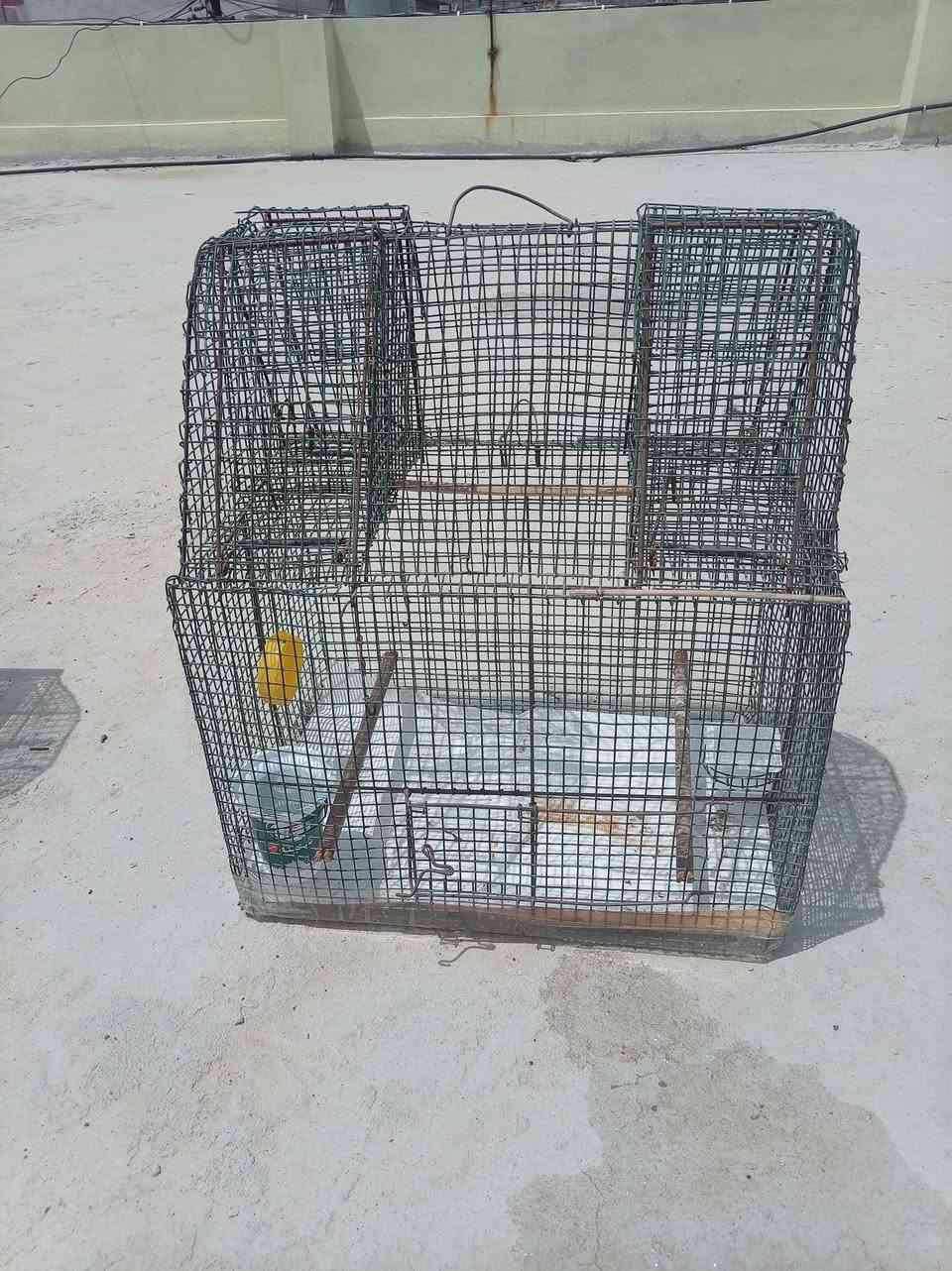 اقفاص للبيع شراي ادفع سعر لا اتكلي بيش الواحد عجبني سعرك ابيعك الموصل الجانب الأيمن


**إذا كنت صاحب هذا الإعلان وتريد حذفه لأي سبب، رجاءا أرسل رسالة إلى الدعم الفني**