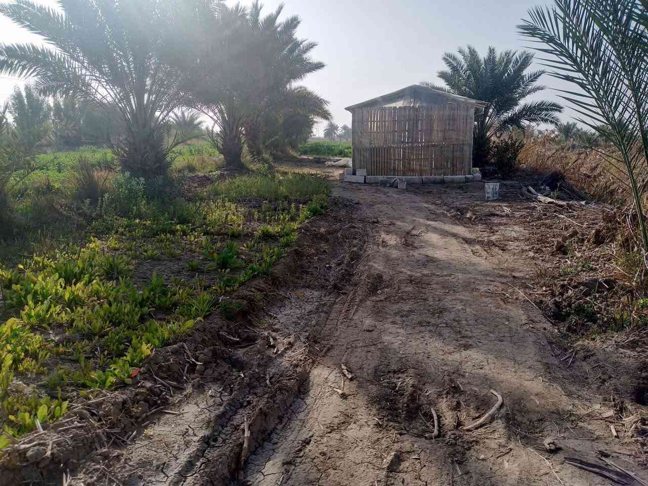 سلام عليكم بستان للبيع
باقي تفاصيل عل خاص


**إذا كنت صاحب هذا الإعلان وتريد حذفه لأي سبب، رجاءا أرسل رسالة إلى الدعم الفني**