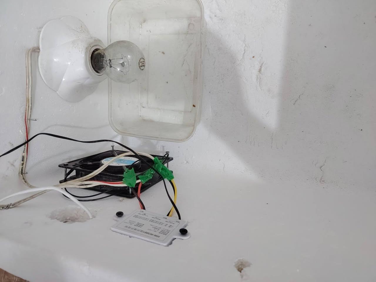 سلام عليكم
متاح فقاسه فلين  ٦٠ بيضه  التفقيس بيض الدجاج وجميع انواع الطيور تقليب يدوي سعرها ٤٥ وبيه مجال مكاني حله ورديه خارج مستشفى الكفيل على الشارع العام

للاستفسار خاص او اتصال على الرقم او واتساب

***********
