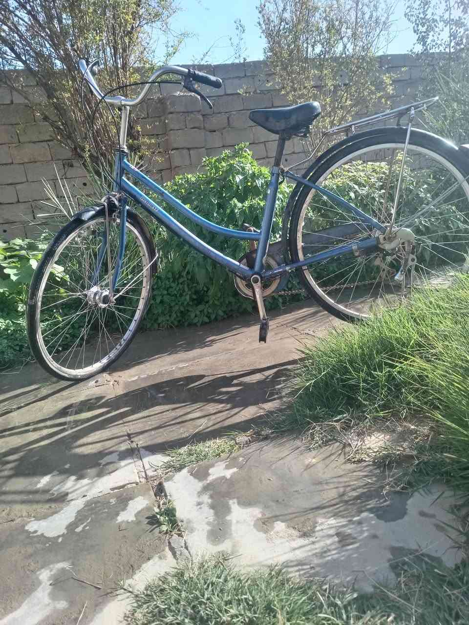 باسكل للبيع حجم 26 عنوان دوانيه قضاء سومر سعر 65 وبي مجال


**إذا كنت صاحب هذا الإعلان وتريد حذفه لأي سبب، رجاءا أرسل رسالة إلى الدعم الفني**