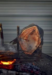 جمعة مباركة ❤️ #اسماك #الزعفرانية طعم الفريد من نوعة🐟 الطعم الي كلبك ر...