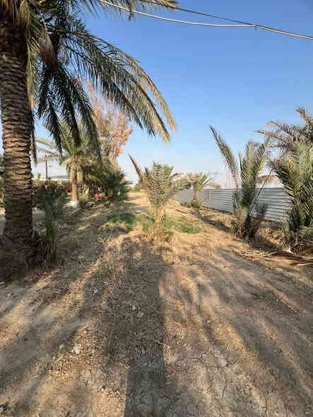 ٤ دونم طابو زراعي عقد ٢٥
بغداد مشروع الوحدة خلف شركة ماء السد
للإستفسار ☎️***********
