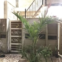 ضباط القاهرة • ١٣٣م • واجهة ٦م