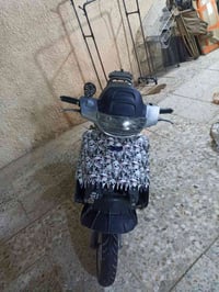 فراشه • فحل • كهرباء شغاله