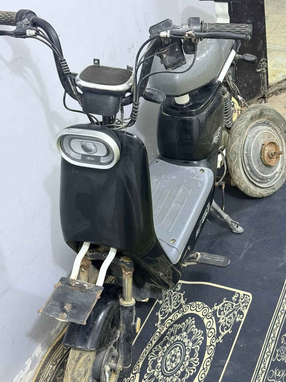 بايسكل شحن تاير بنجر وعوزهة شحن ابيعهة ع هاي الوضعيه ما اعرف شنو بيهة ب 75 قفل مكاني بغداد مدينة الصدر


**إذا كنت صاحب هذا الإعلان وتريد حذفه لأي سبب، رجاءا أرسل رسالة إلى الدعم الفني**