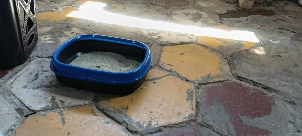 سعر ١٠٠ و بيه مجال نظيفه وياه  بيت و رمل و اكل
تواصل ع خاص


**إذا كنت صاحب هذا الإعلان وتريد حذفه لأي سبب، رجاءا أرسل رسالة إلى الدعم الفني**