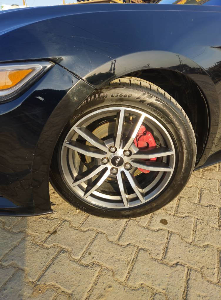 السلام عليكم 

عندي ويالة ١٨ سلفر بلادي 

موستنك ٢٠١٥

اريد ويالة سود حتى تكعد وي السيارة مالتي السودة اذا احد عندة للمراوسة وشكرا
***********
